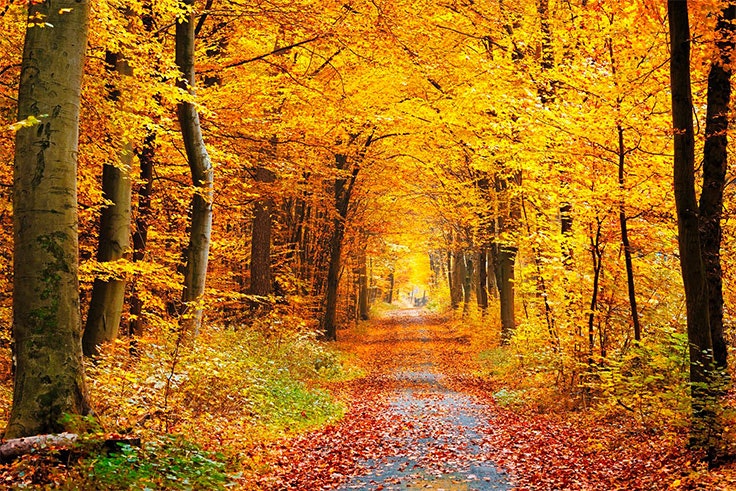 cuando empieza el otoño 2018
