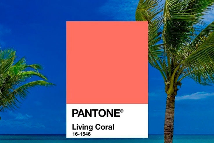 color pantone
