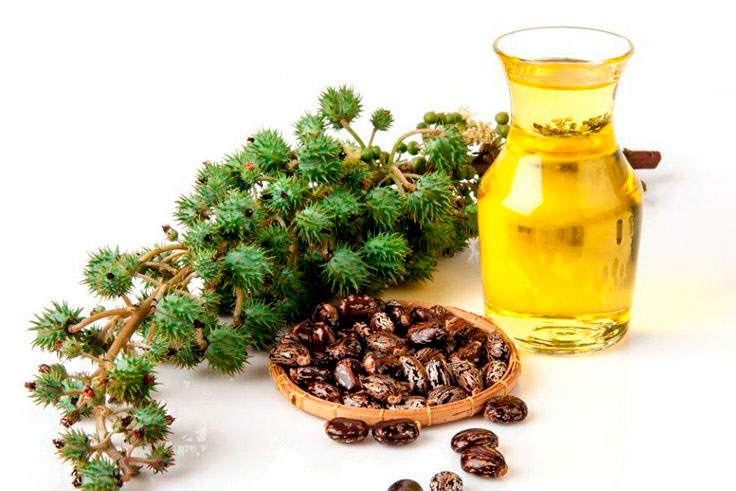 Aceite-de-ricino-comprar