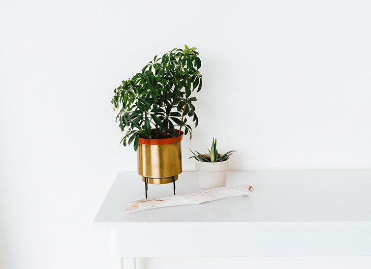 Tendencias en decoración 2020