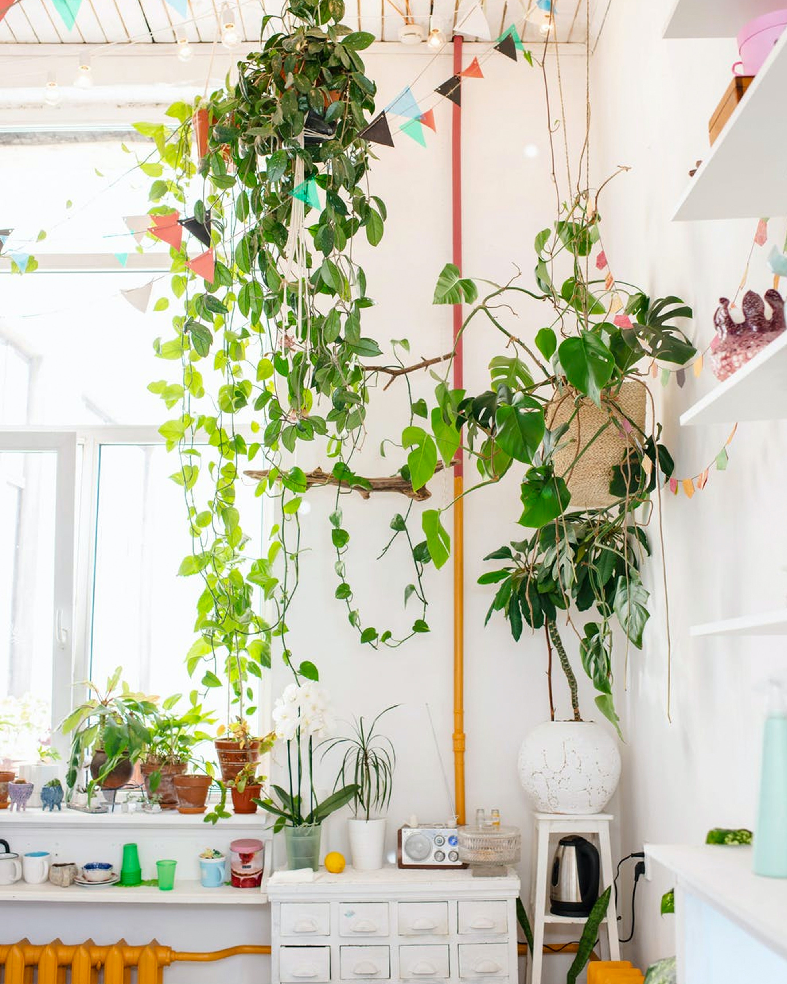 decorar-con-plantas-04