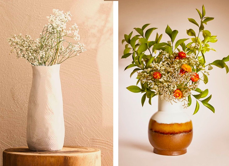 poder de las plantas