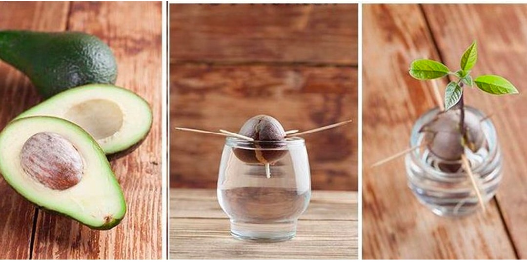 naturaleza y los niños