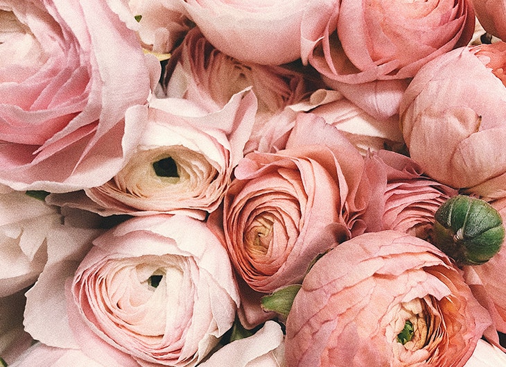 el poder de las flores