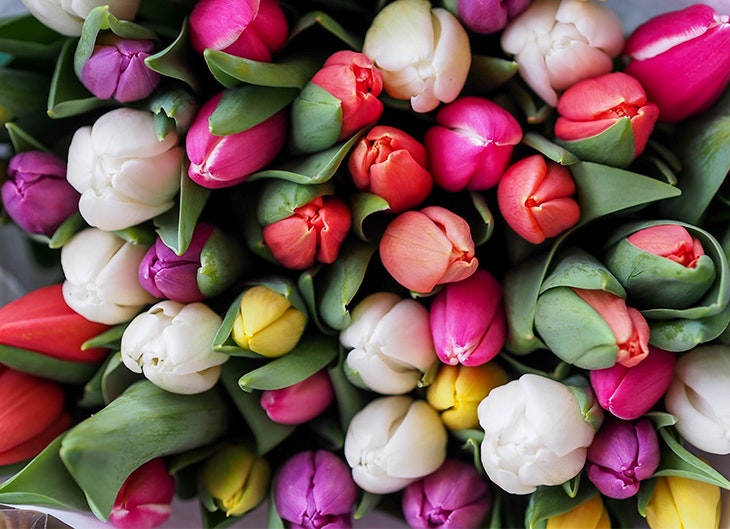 poder de las flores
