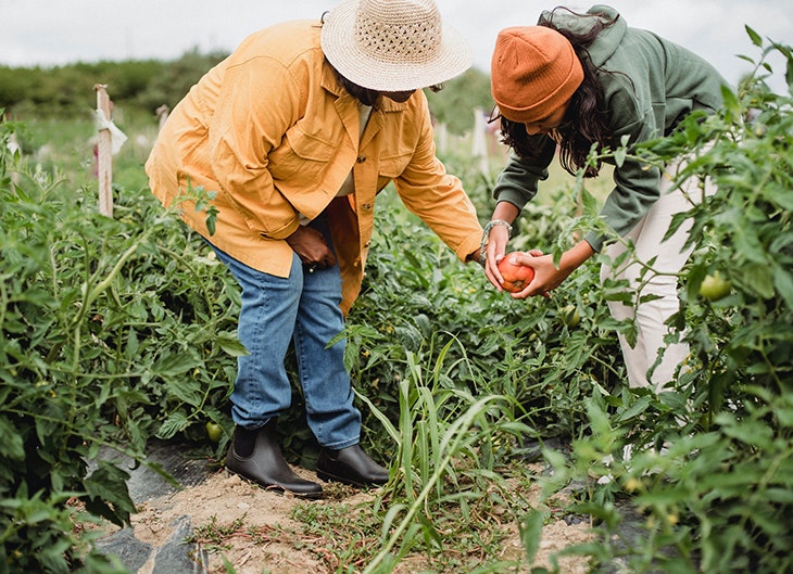 día de la tierra tips eco