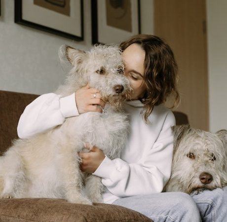 Comportamiento de tu mascota: Cómo hacer que mejore