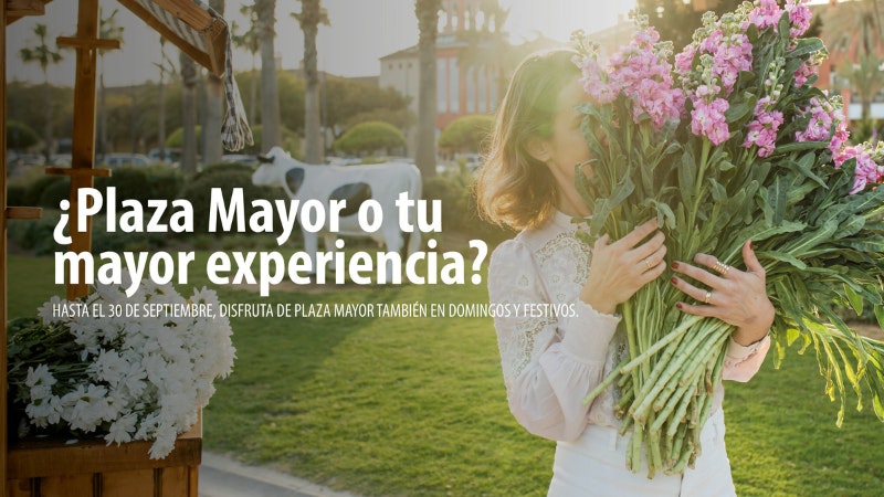 Plaza Mayor verano 2023