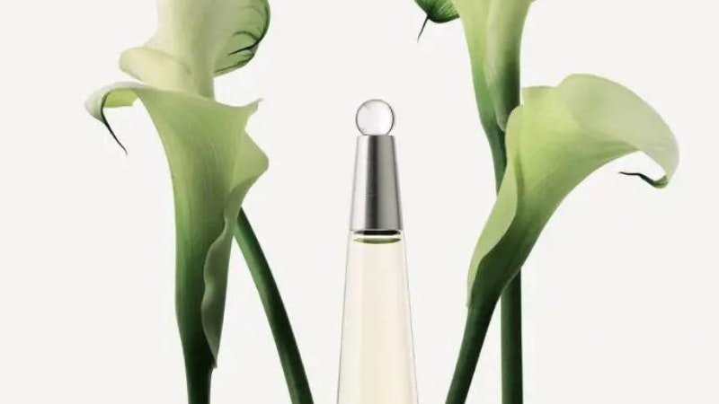 Perfumes para el verano