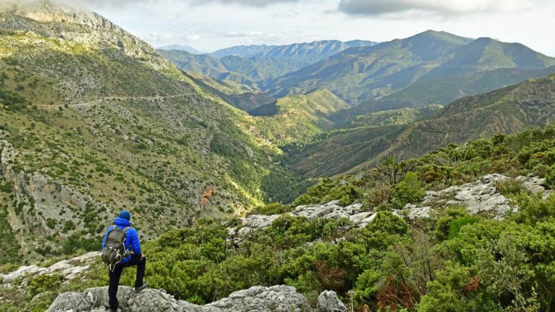 5 mejores bosques malaga