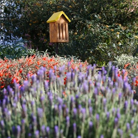 Jardines certificados: la sostenibilidad de Plaza Mayor reconocida por CAAE