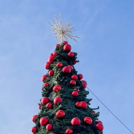 Plaza Mayor se viste de Navidad: luces, talleres y un mercado navideño